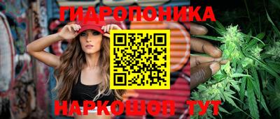 ECSTASY Будённовск