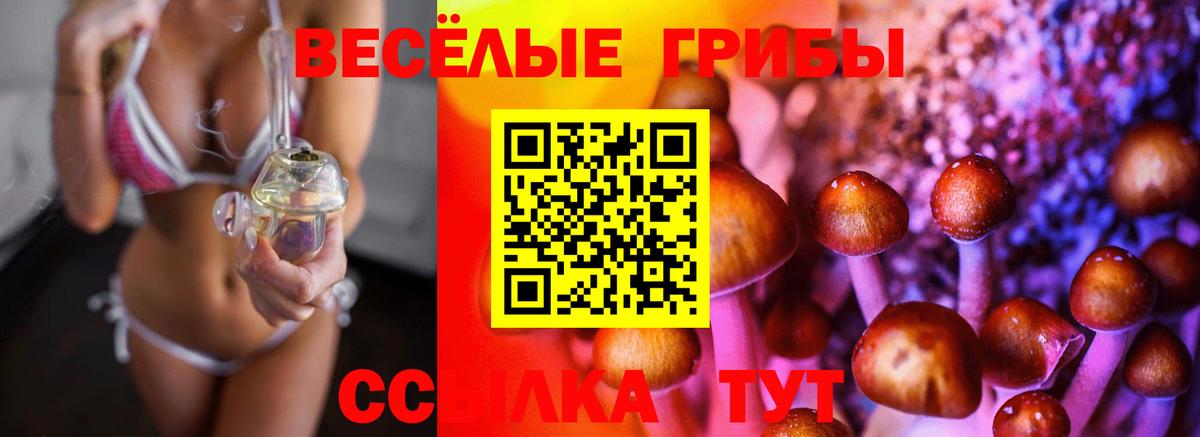 Галлюциногенные грибы прущие грибы  Вход с VPN  Галлюциногенные грибы Psilocybine cubensis  Ликино-Дулёво 